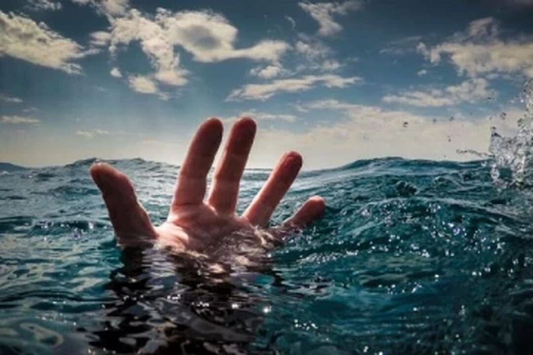 zSUjag3mxvwOTZyy6IA2 1