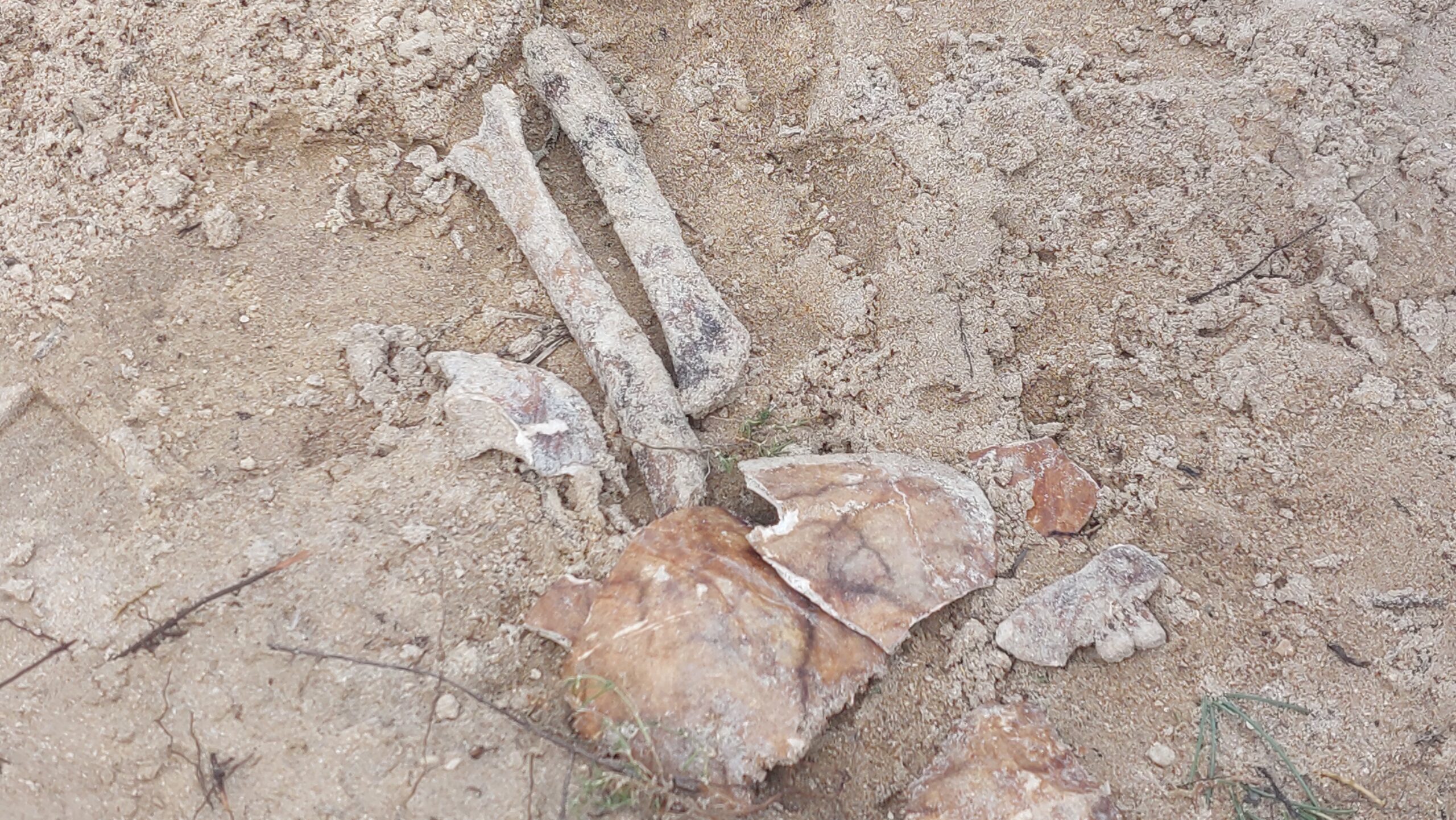 20230621 090041 scaled