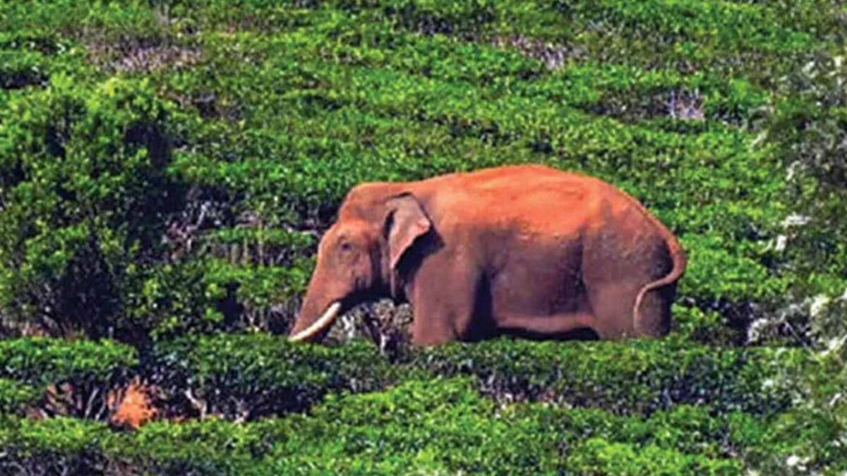 Untitled 1 19 scaled