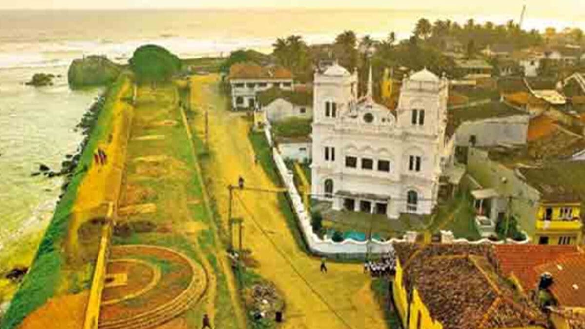 Untitled 1 24 scaled