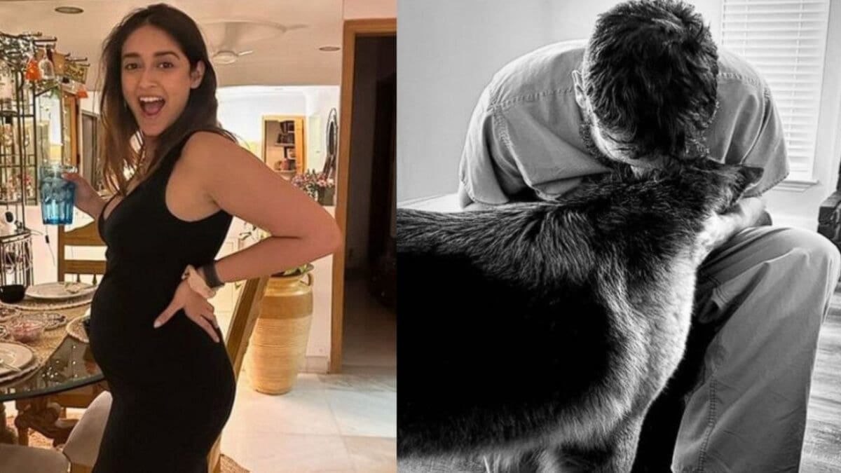 கர்ப்பமாக இருக்கும் இலியானா