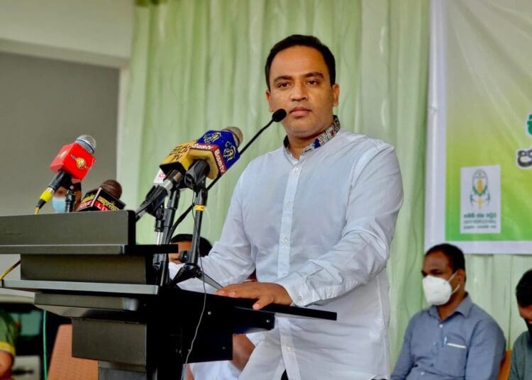 அரசியலுக்கு வராமல் கிரிக்கெட் விளையாடி இருக்கலாம்: ஹர்ஷன சாடல்