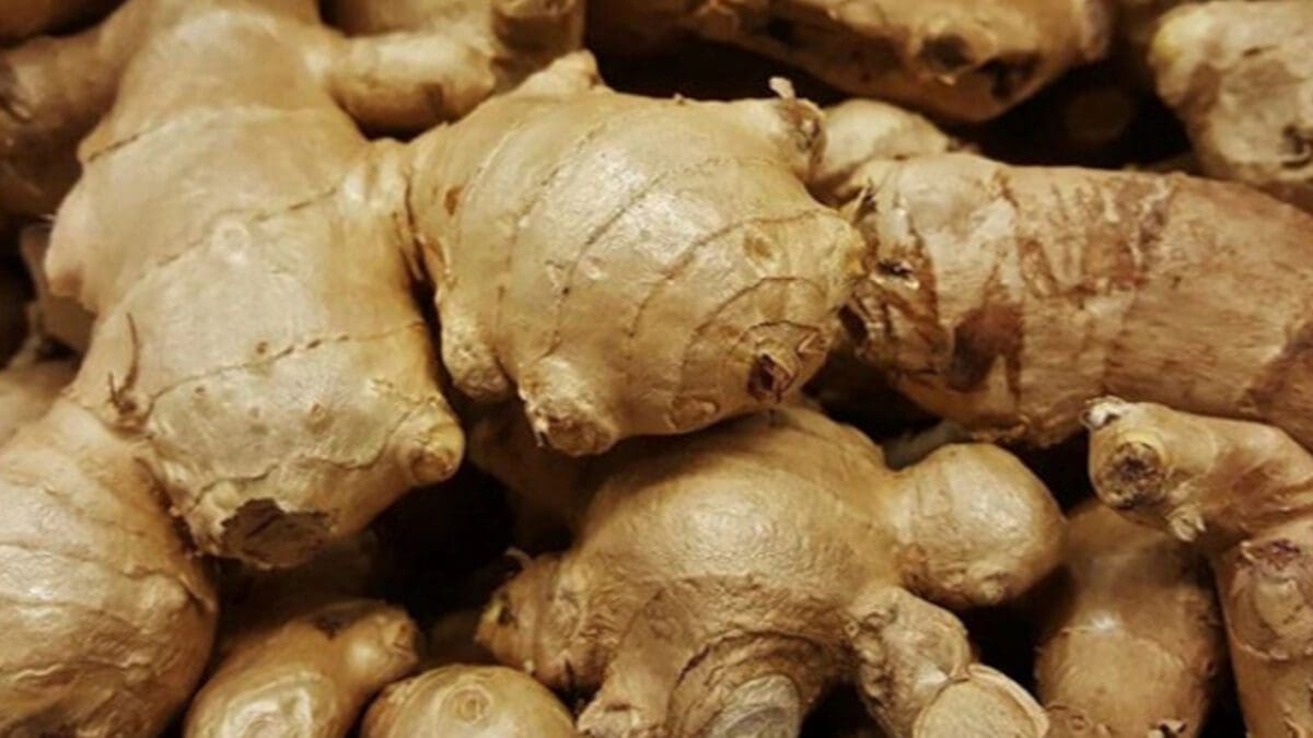 சடுதியாக அதிகரித்துள்ள இஞ்சியின் விலை