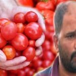 தக்காளி விற்று கோடீஸ்வரரான விவசாயி! 2.8 கோடி சம்பாதித்து சாதனை