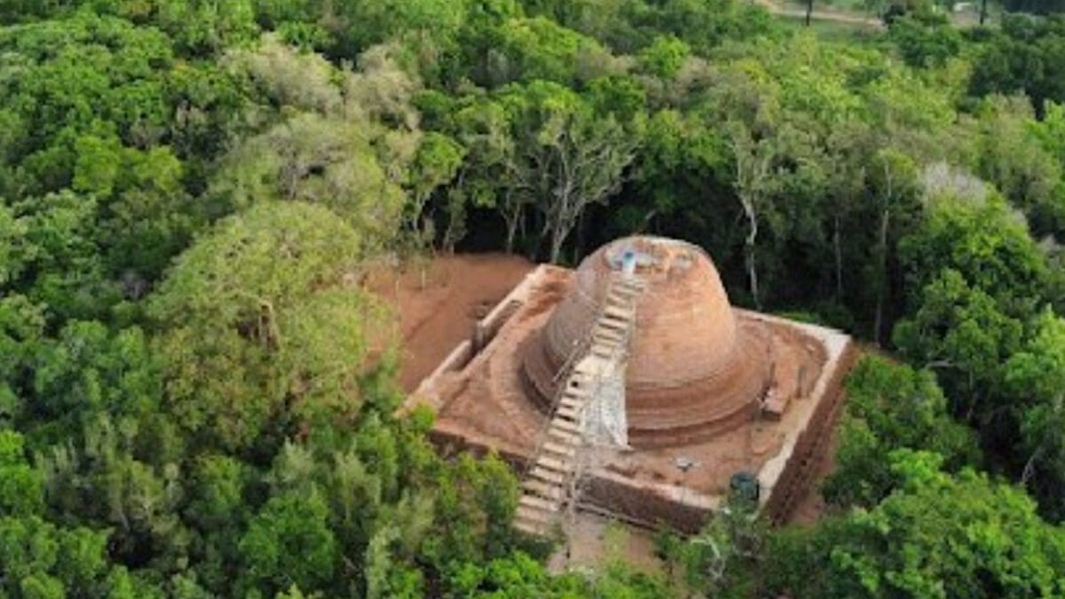 குருந்தூர் மலை தொடர்பில் அரசாங்கம் நடவடிக்கை..!