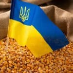 உக்ரேனிய தானியங்கள் மீதான இறக்குமதி தடை
