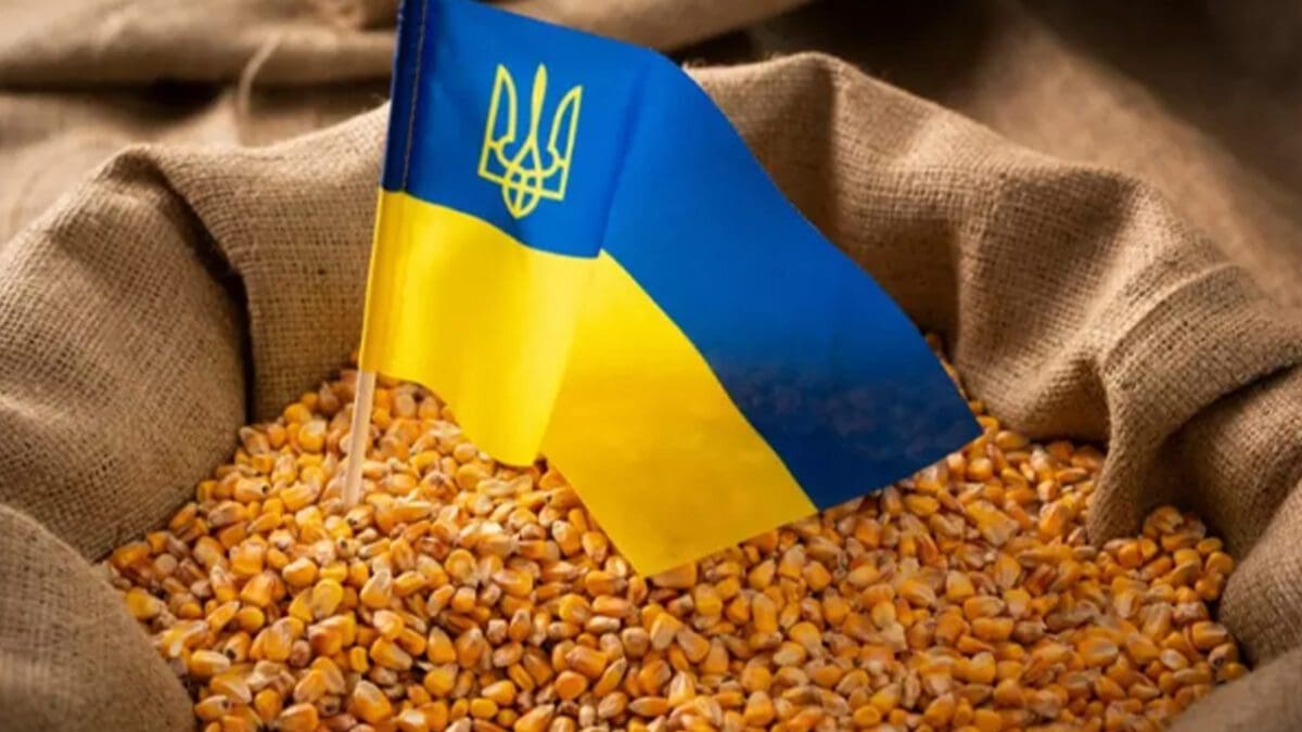 உக்ரேனிய தானியங்கள் மீதான இறக்குமதி தடை