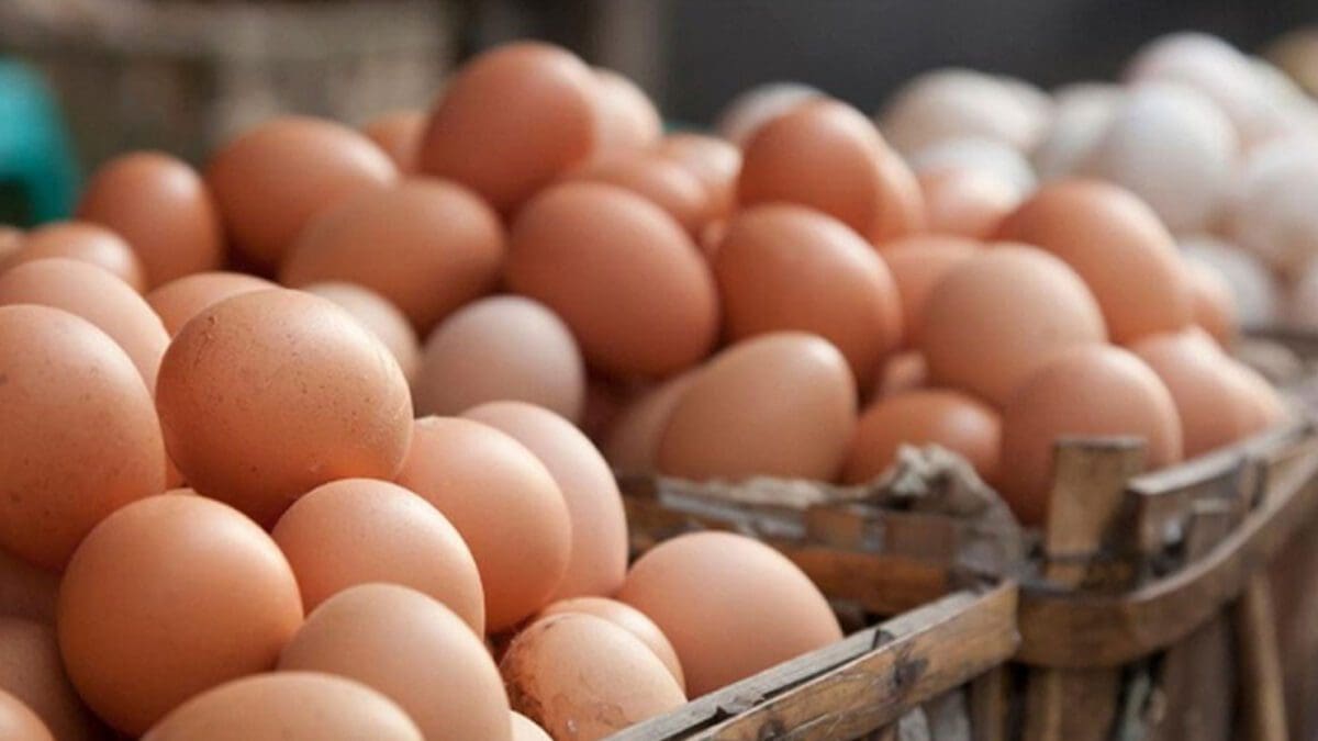 சந்தையில் பழுதடைந்த முட்டைகள் விற்பனை