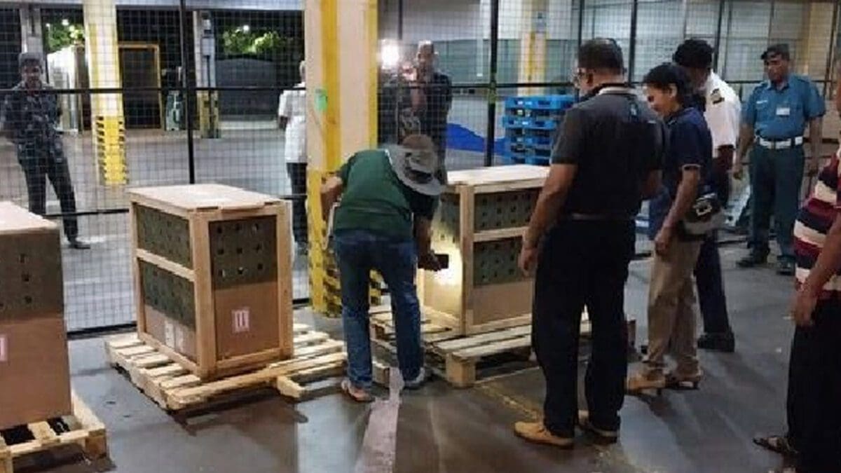 உலகின் மிக ஆபத்தான பறவையினம் இலங்கைக்கு