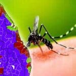 இலங்கையில் தீவிரமடையும் நோய்!! 32 பேர் மரணம்