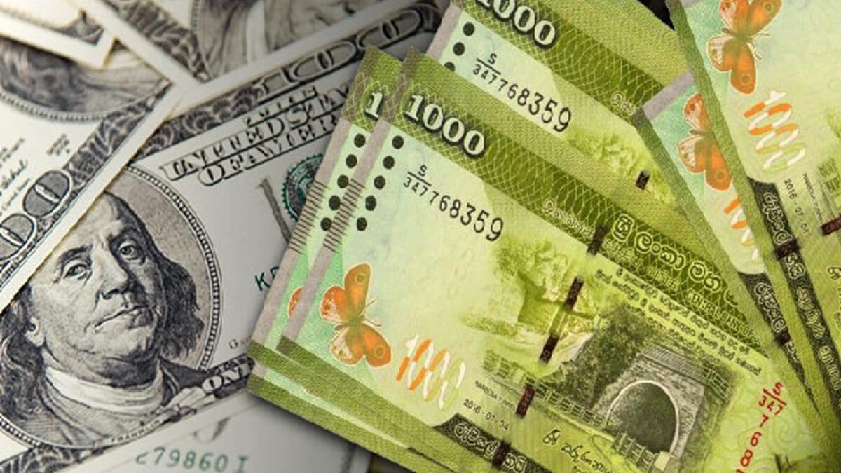 பாரிய வீழ்ச்சியை சந்தித்த இலங்கை ரூபாவின் பெறுமதி