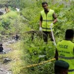 இலங்கையில் மாயமான டென்மார்க் பெண்