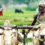 விவசாயிகளுக்கு மகிழ்ச்சியான செய்தி