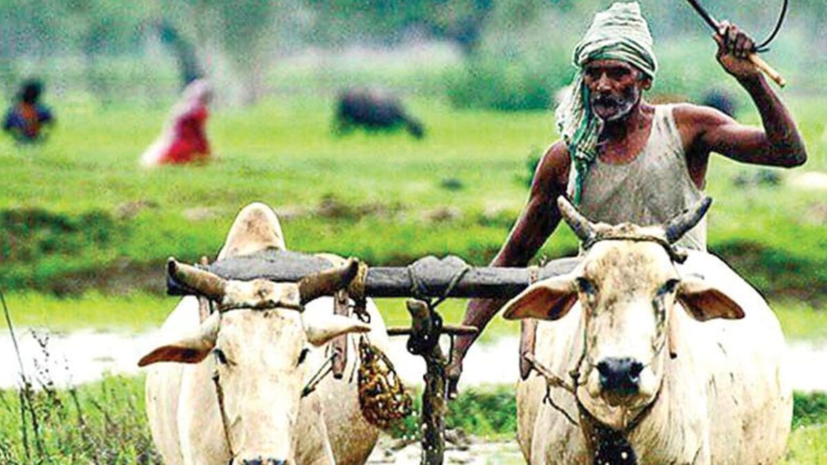 விவசாயிகளுக்கு மகிழ்ச்சியான செய்தி