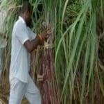 சிறைச்சாலையிலி்ருந்து கைதி தப்பி ஓட்டம்