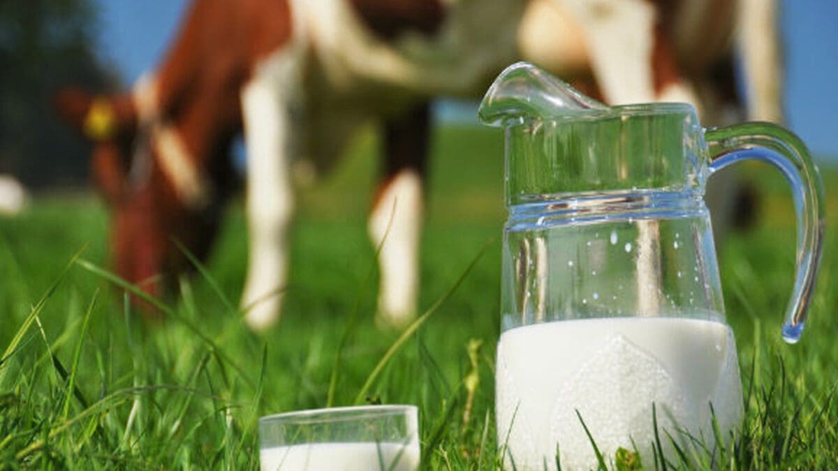 பால் மா நுகர்வு வரிசையில் இலங்கை முன்னணி!