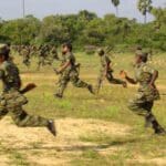 விடுதலைப் புலிகள் தொடர்பில் ஜெனிவாவிற்கு பொய்யான விடயங்கள்!