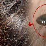 தூக்கத்தை தொலைத்த மாணவிகள்!! வெளியான காரணம்