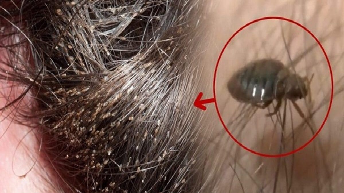 தூக்கத்தை தொலைத்த மாணவிகள்!! வெளியான காரணம்