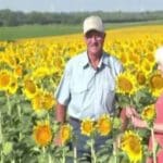 50ம் ஆண்டு திருமண விழாவில் இன்ப அதிர்ச்சி கொடுத்த கணவன்!