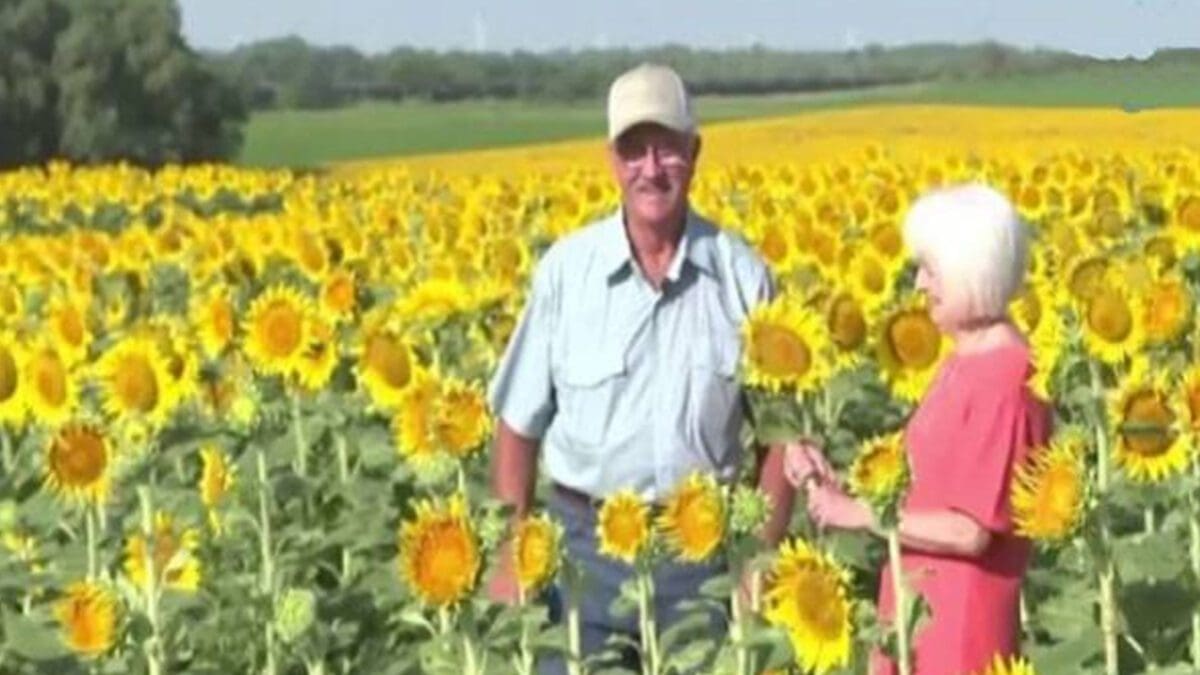 50ம் ஆண்டு திருமண விழாவில் இன்ப அதிர்ச்சி கொடுத்த கணவன்!