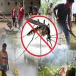 அதிகரித்துள்ள டெங்கு அபாயம்