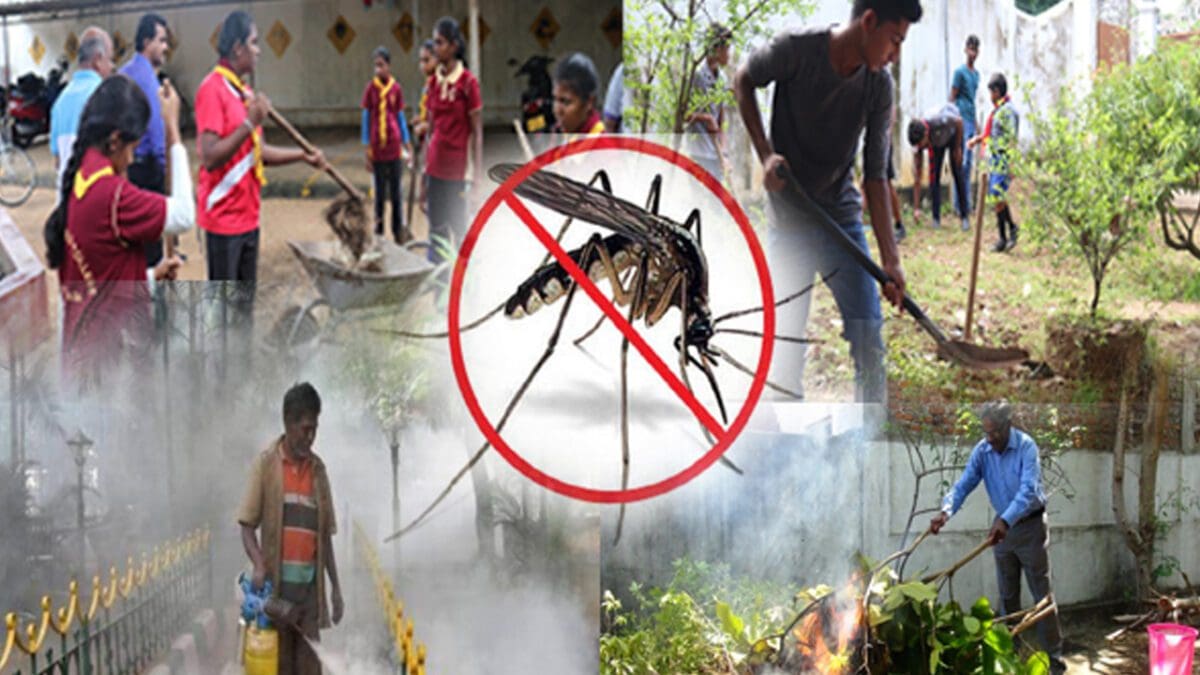 அதிகரித்துள்ள டெங்கு அபாயம்