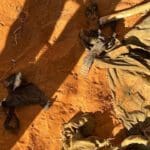 விடுதலைப்புலிகளின் பெண் போராளிகளது சடலங்களா! மீண்டும் அகழ்வு பணி