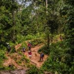 கனடா எல்லை அருகே வனப்பகுதியில் பிள்ளை பெற்றெடுத்த பெண்: வெளிவரும் தகவல்