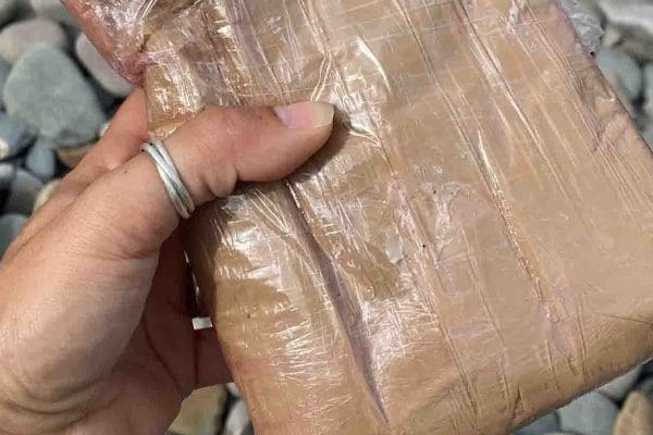 பிரித்தானியாவில் குப்பை சேகரிக்கும் பெண்ணுக்கு காத்திருந்த அதிர்ச்சி