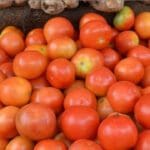 தக்காளியை பாதுகாக்க ரூ.22 ஆயிரம் செலவில் சிசிடிவி கேமரா