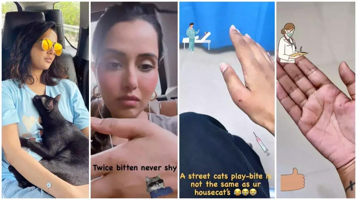 நடிகை ரைசாவுக்கு நடந்த அதிர்ச்சி சம்பவம்!