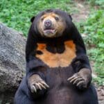 main qimg 8083fb44fdd8cf3ee3c199e9560c1183 lq