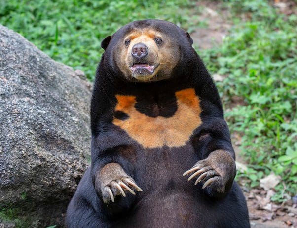 main qimg 8083fb44fdd8cf3ee3c199e9560c1183 lq