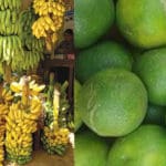 ஆயிரம் ரூபாவை தொட்ட எலுமிச்சையின் விலை! வாழைப்பழ விலையிலும் மாற்றம்