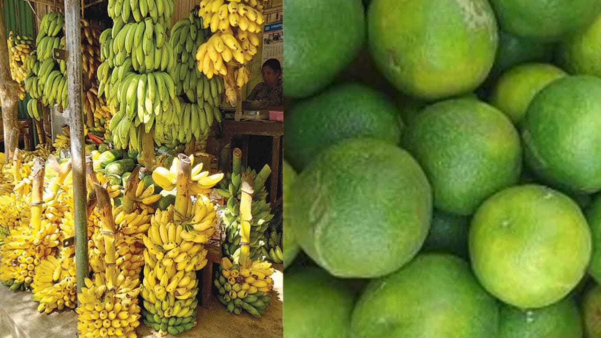 ஆயிரம் ரூபாவை தொட்ட எலுமிச்சையின் விலை! வாழைப்பழ விலையிலும் மாற்றம்