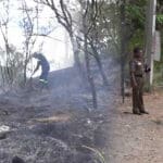 இலங்கையில் காதலர்களின் முதல் சந்திப்பில் விபரீதம்