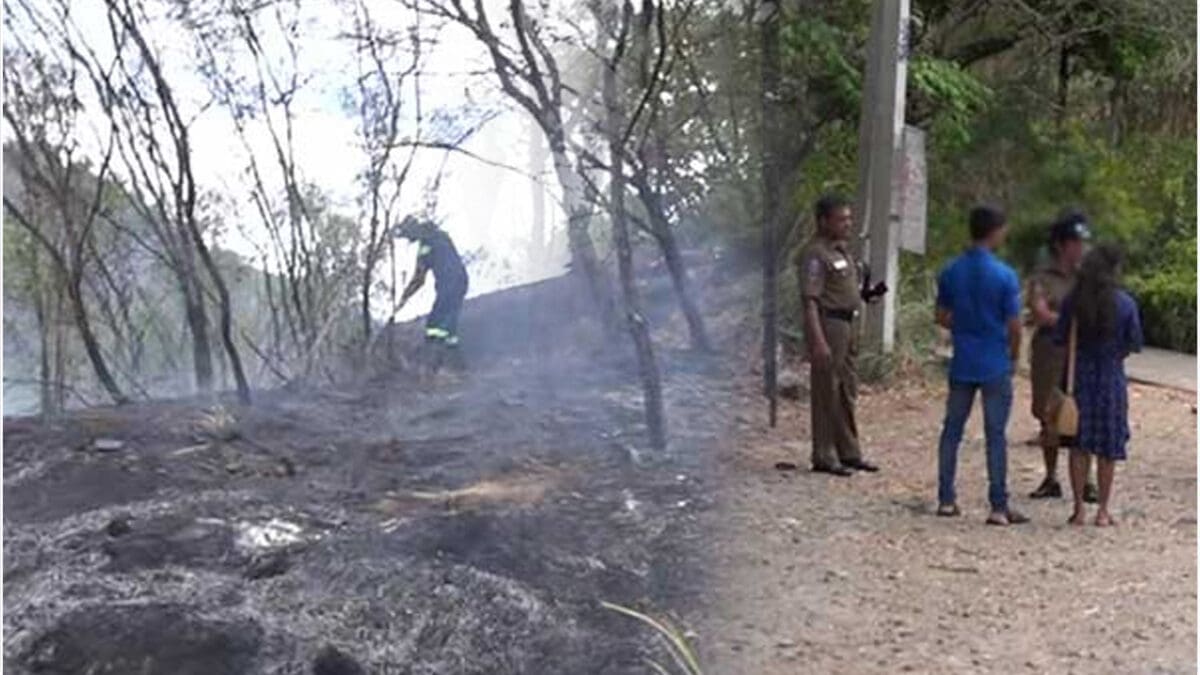 இலங்கையில் காதலர்களின் முதல் சந்திப்பில் விபரீதம்