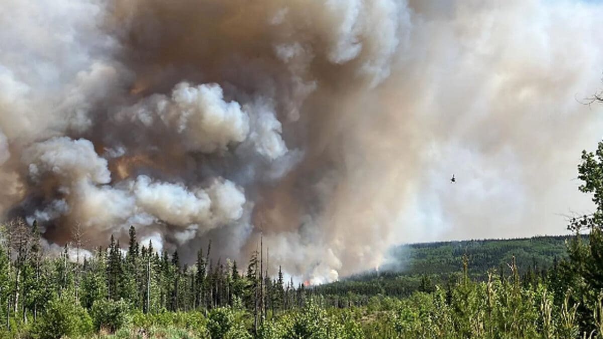 கனடாவில் பரவும் காட்டுத்தீ: அவசரநிலை பிரகடனம்