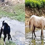 இலங்கையில் மக்களுக்கு உயிராபத்து ஏற்படும் அபாயம்!