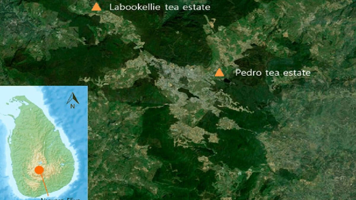 நடைமுறைக்கு வந்துள்ள தடை!