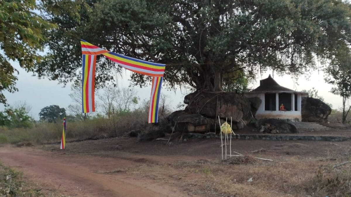 கிழக்கில் பறிபோகும் தமிழரின் நிலங்கள்