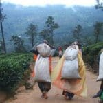 200 ஆண்டுகளாக மலையக தமிழரின் இரத்தத்தை உறிஞ்சும் இலங்கையர்கள்!