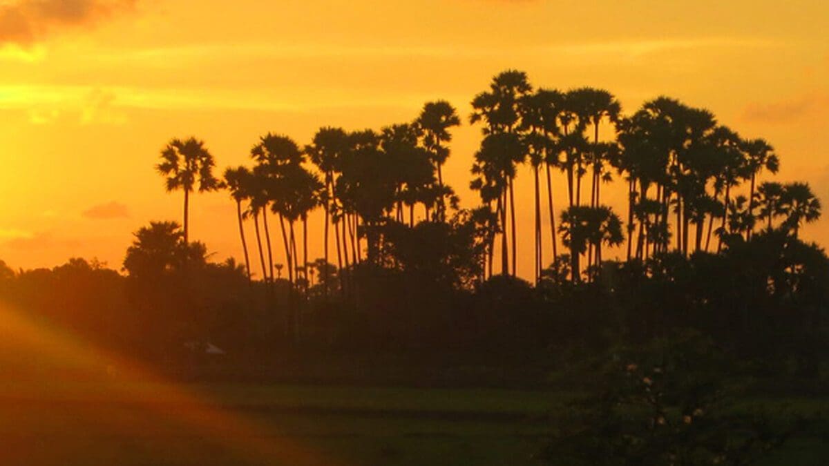 கடுமையான வறட்சியால் பாதிக்கப்பட்டுள்ள யாழ். மாவட்டம்