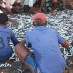 அம்பாறை மீனவர்களுக்கு அடித்த அதிர்ஷ்டம்!