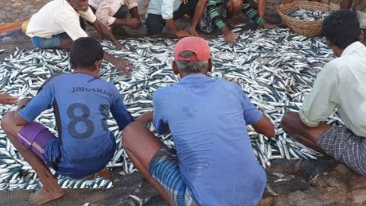 அம்பாறை மீனவர்களுக்கு அடித்த அதிர்ஷ்டம்!