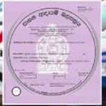 வாகன வருமான வரி பத்திரம் தொடர்பில் புதிய திட்டம்