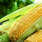 நடைமுறைக்கு வரும் வகையில் குறைக்கப்பட்டுள்ள இறக்குமதி வரி