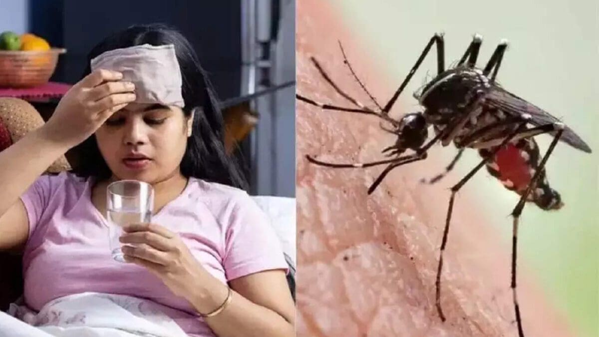 நாட்டில் மீ்ண்டும் அதிகரிக்கும் டெங்கு நோய் பரவல்