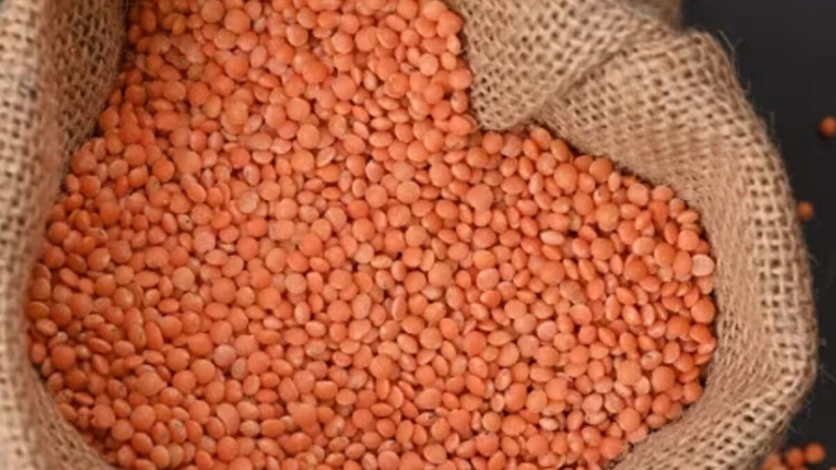 tamilni Recovered 5 scaled